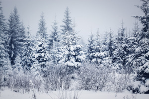 snowy winter landscape_pixta_26334626.jpg