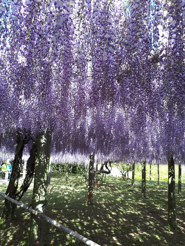 20190503_153832.jpg