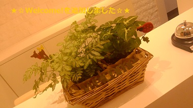P1000088.JPG