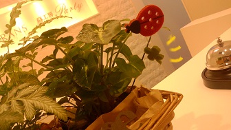 P1000100.JPG