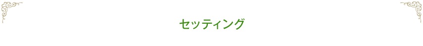 セッティング